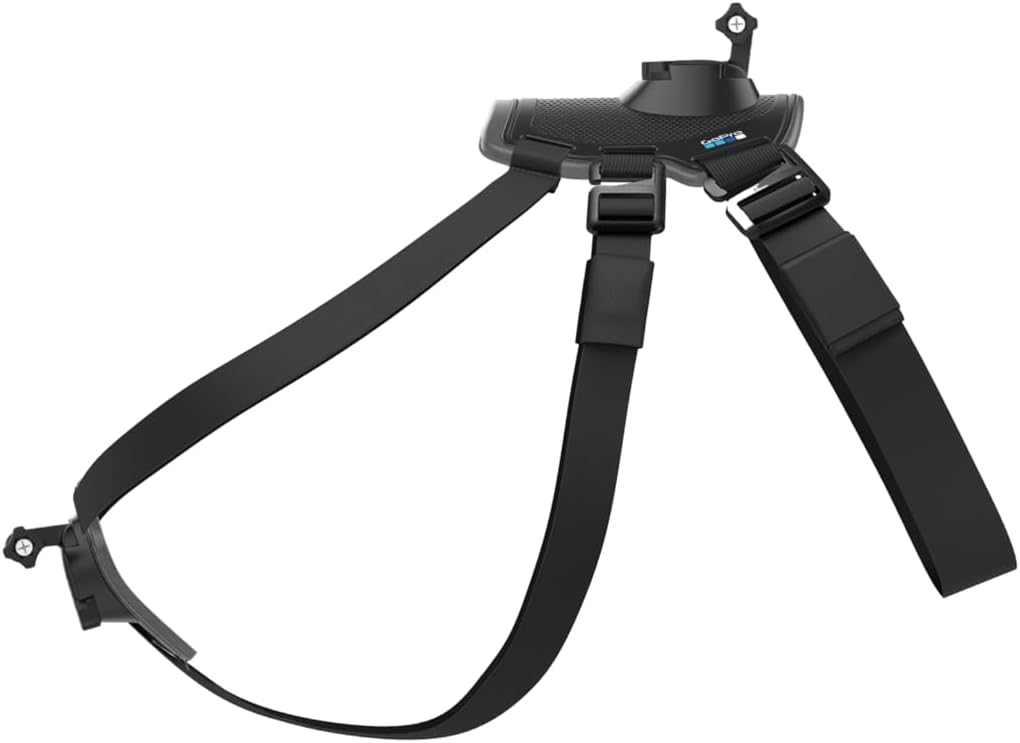 GoPro Fetch dog harness with camera mount on back