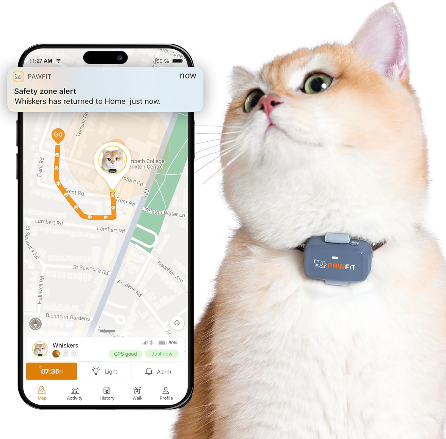 Pawfit Lite GPS tracker for cats