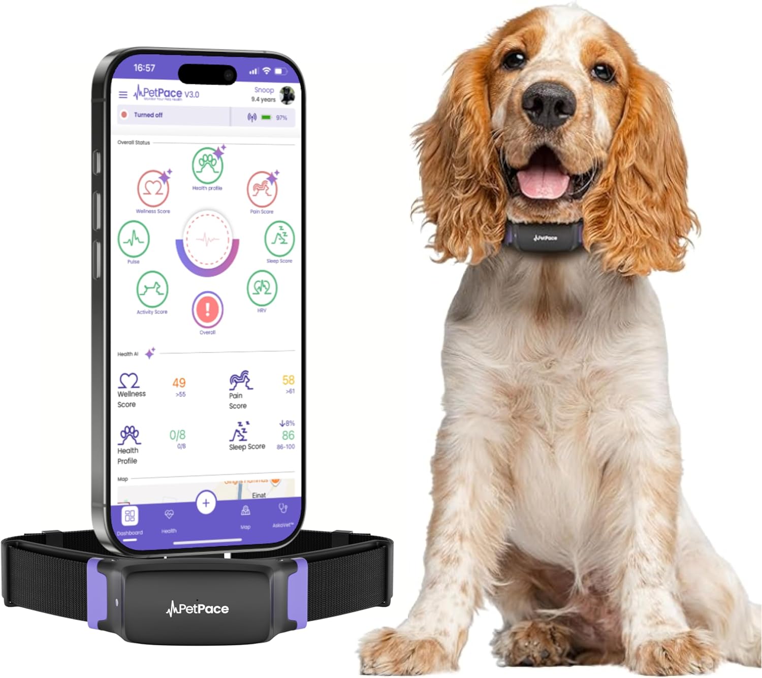 PetPace Smart Collar 3.0 health monitoring collar