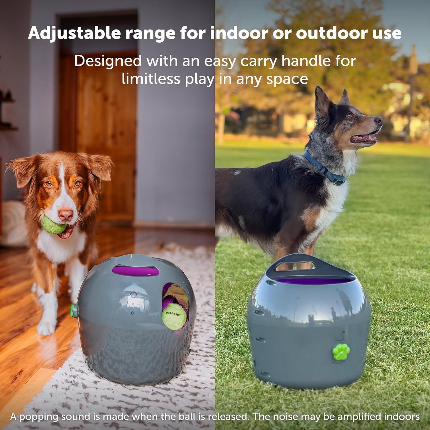 PetSafe Automatic Ball Launcher