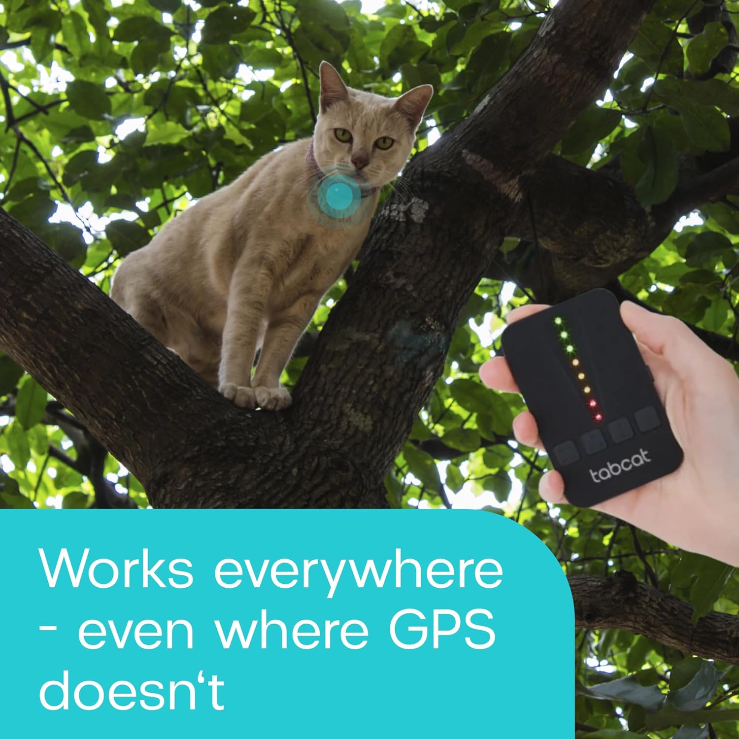 Tabcat Cat Tracker RF locator