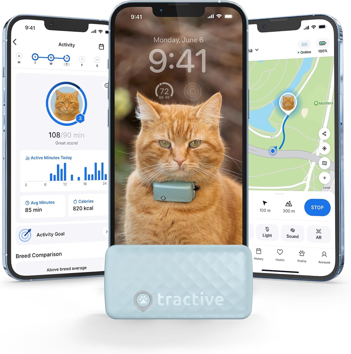 Tractive GPS Cat Tracker (LTE) clipped to breakaway collar